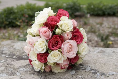 Romantic Flowers